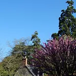Castel Fleuri Tours