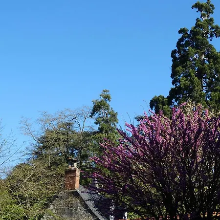 Castel Fleuri Тур